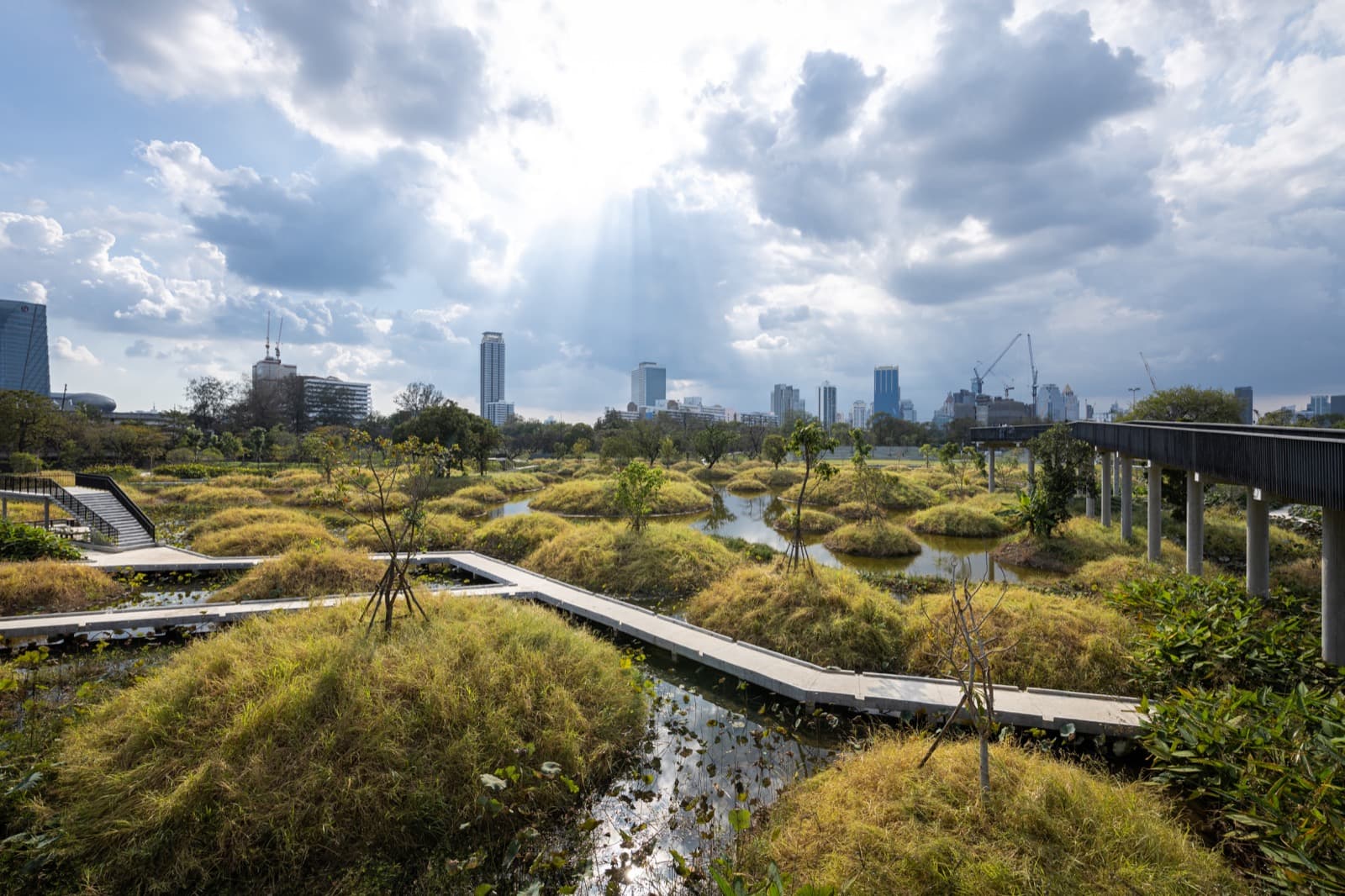 Benjakitti Forest Park wetland paths in Bangkok