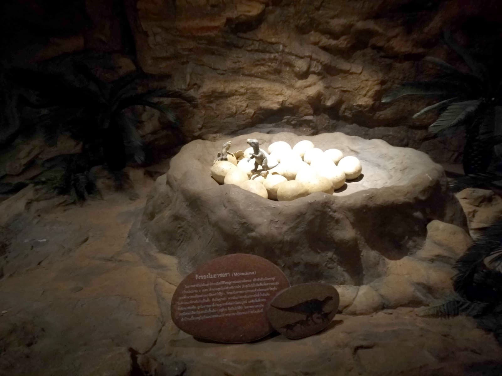 Maiasaura nest model at Bangkok Children's Discovery Museum
