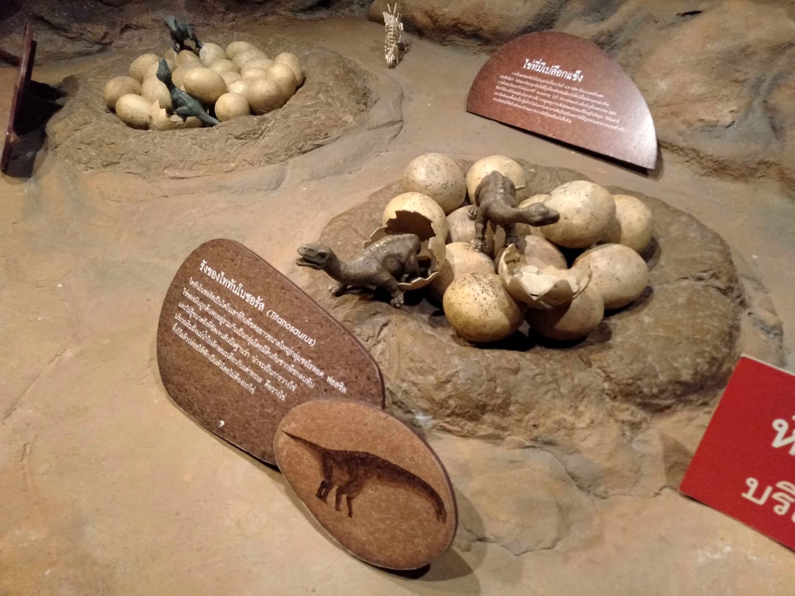 Titanosaurus nest model at Bangkok Children's Discovery Museum