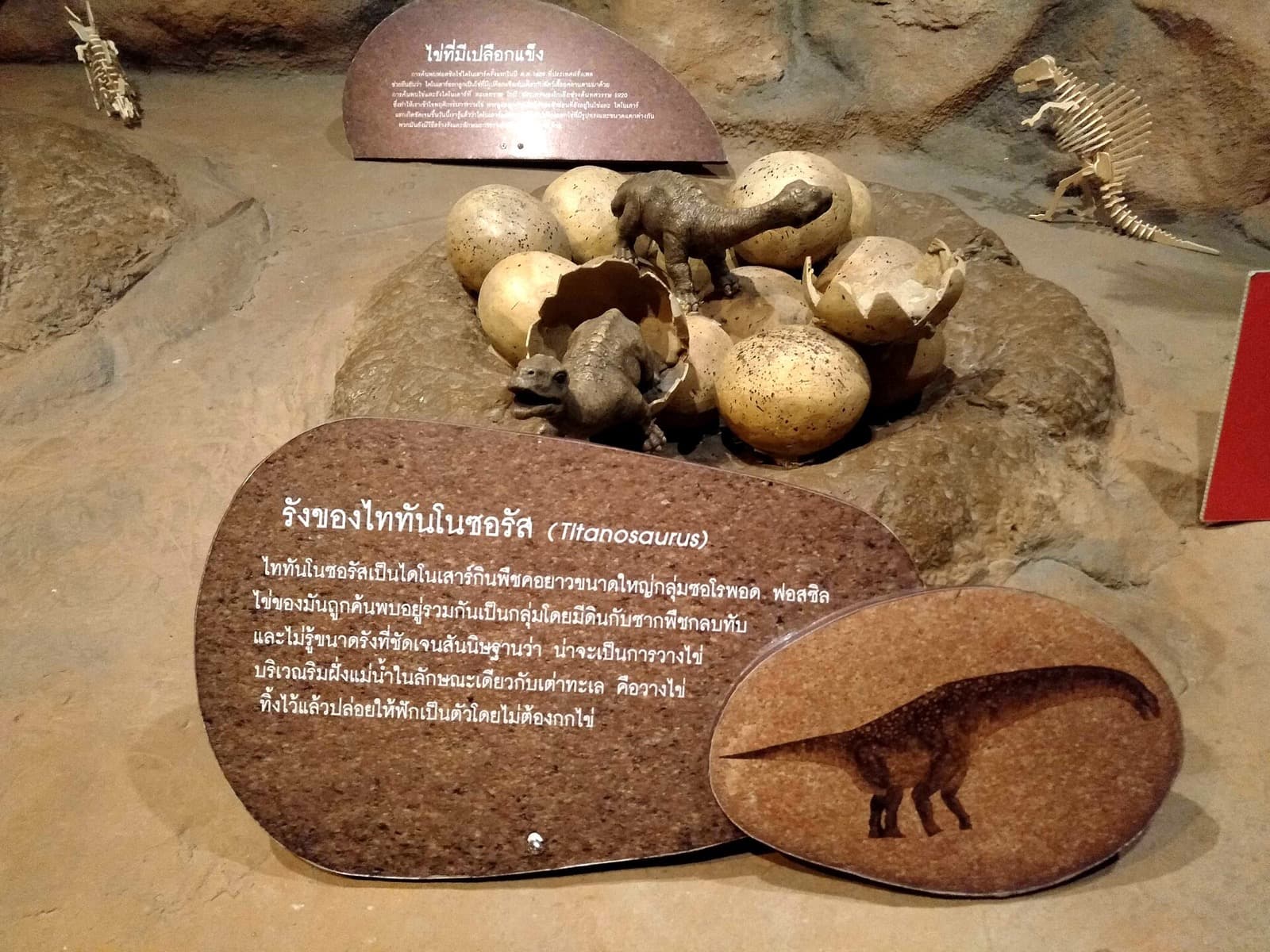 Dinosaur exhibit at Bangkok Children's Discovery Museum