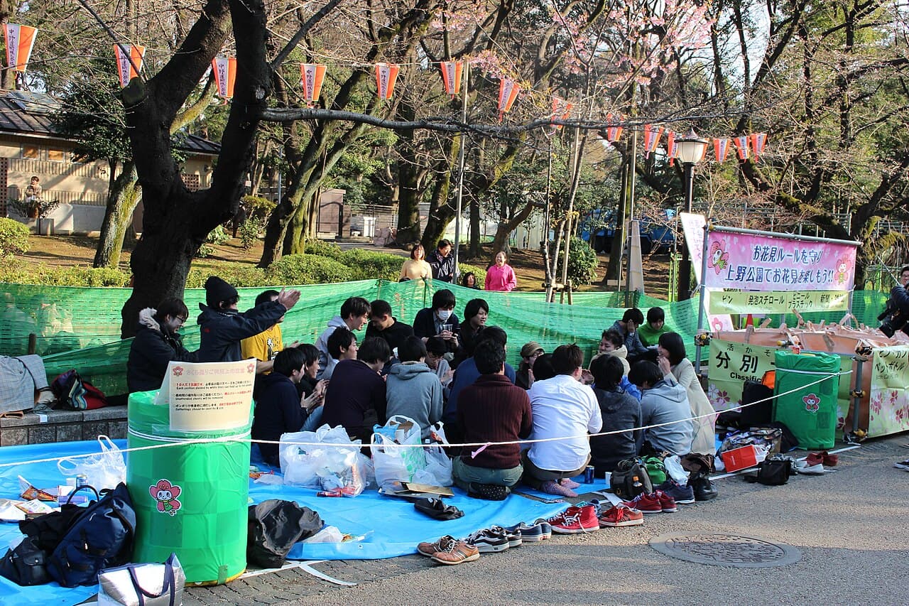 Hanami picnic in Ueno Park, Tokyo