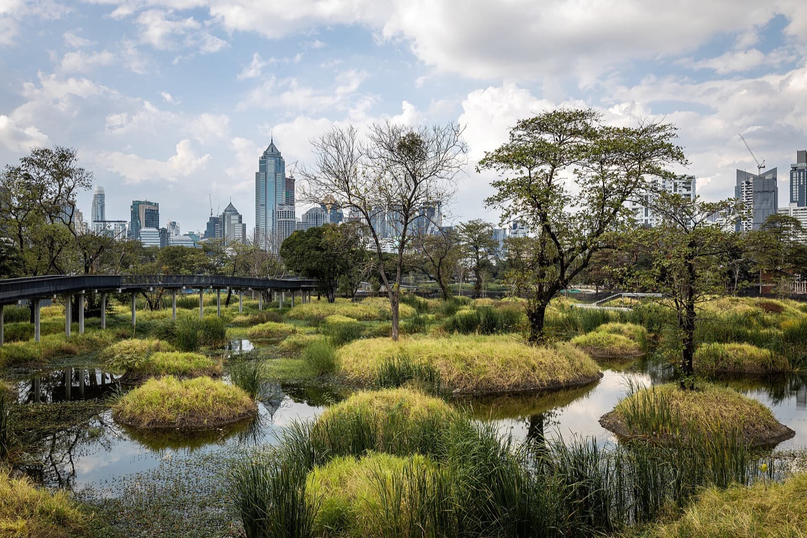 Benjakitti Forest Park in Bangkok